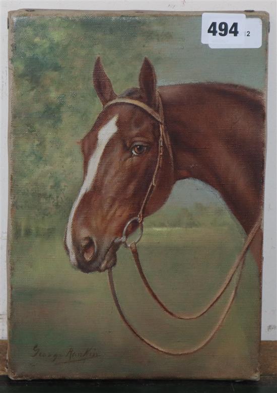 George James Rankin (1864-1937), Portrait of a bay horse (head), signed